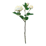 Rose 3-fois avec fleur et 2 bourgeonners Color:...
