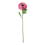 Renoncule artificiel  Color: rose/vert Size: 53cm