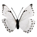 Papillon en papier     Taille: H: 30cm    Color: blanc