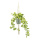 Ivy in pot, with rope hanger     Size: H: 90cm, Ø 17cm    Color: green