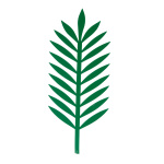 Palm leaf, cut out plastic 43x18cm Color: green
