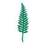 Tropical leaf cut out plastic - Material:  - Color: green...