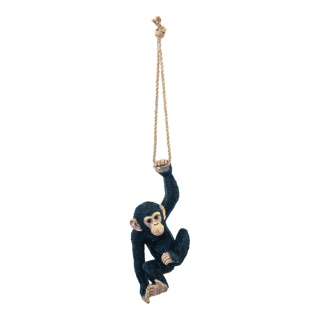 Affe einarmig hängend, mit Seil, aus Kunstharz     Groesse: H: 40cm, B: 17cm    Farbe: natur