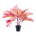Palm in pot - Material: artificial - Color: pink/yellow - Size: 50cm