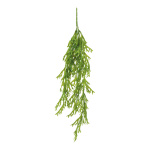 Seegras-Hänger mit 81 Blättern, Größe: 77cm Farbe: grün