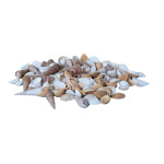 Shells in net 300g - Material:  - Color: white/brown -...