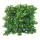 Panneau dherbe avec décoration de plantes  Color: vert Size: 50x50cm