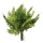 Juniper bundle bundle out of 9 sprigs - Material:  - Color: green - Size: 30cm