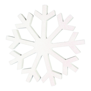 Schneeflocke beglittert, mit Hänger, aus Styropor Abmessung: Ø 60cm Farbe: weiß