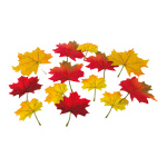 Maple leaves in polybag 36 pieces - Material:  - Color:...