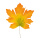 Ahornblatt künstlich, im Plastikbeutel     Groesse:100x80cm    Farbe:herbstlich