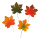 Maple leaves set of 4 - Material: in polybag - Color: multicoloured - Size: 36x30cm