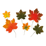 Maple leaves set of 6 - Material: in polybag - Color:...