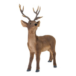 Deer standing - Material:  - Color: brown - Size: 67x29x56cm