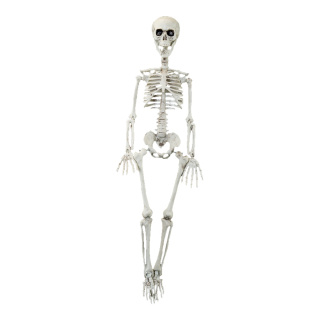 Skelett zum Hängen, aus Kunststoff     Groesse:90cm    Farbe:natur