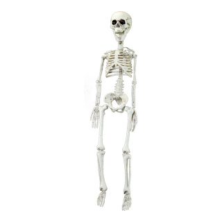 Skelett zum Hängen, aus Kunststoff     Groesse:75cm    Farbe:natur