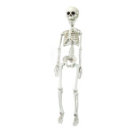 Skelett zum Hängen, aus Kunststoff     Groesse:75cm...