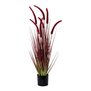 Reed grass bundle in pot - Material: made of plastic - Color: red - Size: 90cm