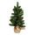 Noble fir in jute bag - Material: 76 tips - Color: green - Size: 60cm