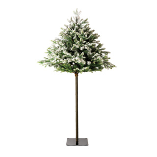Pine tree with wooden trunk - Material: snowed - Color: green/white - Size: 180cm X Ø100cm