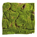 Moosmatte aus Kunststoff und Filz Größe:30x30cm Farbe: grün