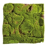 Moosmatte aus Kunststoff und Filz Größe:50x50cm Farbe: grün