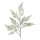Fern twig snowed  - Material:  - Color: green/white - Size: 76cm