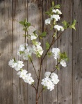 Kirschblütenzweig,130cm, weiß
