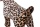 Dekohund mit samtigen Stoffüberzug H40cm, Leoparden Print