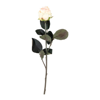 Rose, künstlich      Groesse: 37cm - Farbe: champagner