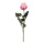 Rose artificial  - Material:  - Color: pink/cream - Size: 37cm