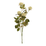 Rose sprig 5-fold  - Material:  - Color: white/green -...