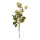 Rose sprig 5-fold  - Material:  - Color: white/green - Size: 71cm