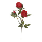 Peony sprig 3-fold - Material:  - Color: burgundy - Size:...