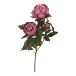 Peony sprig 3-fold - Material:  - Color: lavender - Size:...