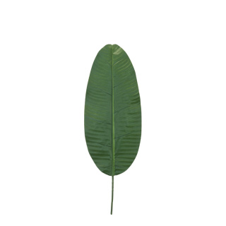 Bananenblatt aus Kunstseide     Groesse: L: 60cm    Farbe: grün