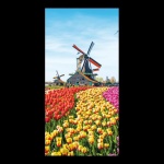 Banner tulip landscape fabric - Material:  - Color:  -...