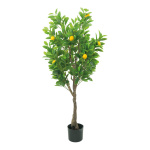 Zitronenbaum, im Topf, Größe: H=120cm Farbe: grün/gelb