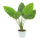 Aureum plant in pot, made of artificial silk & plastic     Size: H: 65cm    Color: green