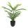 Areca palm tree in pot, made of artificial silk & plastic     Size: H: 75cm    Color: green