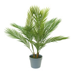 Palm tree in pot, 12-fold, made plastic     Size: H: 75cm...