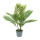 Palm tree in pot, 12-fold, made plastic     Size: H: 75cm    Color: green