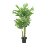 Areca Palme, im Topf, mit 3 Stämmen,...