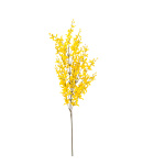 forsythia spray 12-fold 80cm Color: yellow