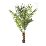 Kentia palm in pot - Material: 10 palm fronds & 540...