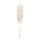 Bunch of pampas grass 3-fold, dried     Size: 110cm    Color: white
