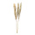 Bunch of pampas grass 3-fold, dried     Size: 110cm    Color: natural-coloured