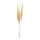 Bunch of pampas grass 3-fold, dried     Size: 110cm    Color: cream