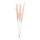 Bunch of pampas grass 3-fold, dried     Size: 110cm    Color: pink