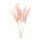 Bunch of pampas grass 6-fold, dried     Size: 65-75cm    Color: pink